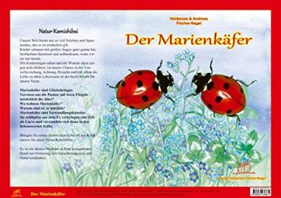 Natur-Kamishibai / Natur-Kamishibai - Der Marienkäfere: Natur-Kamishibai von Fischer-Nagel, Heiderose